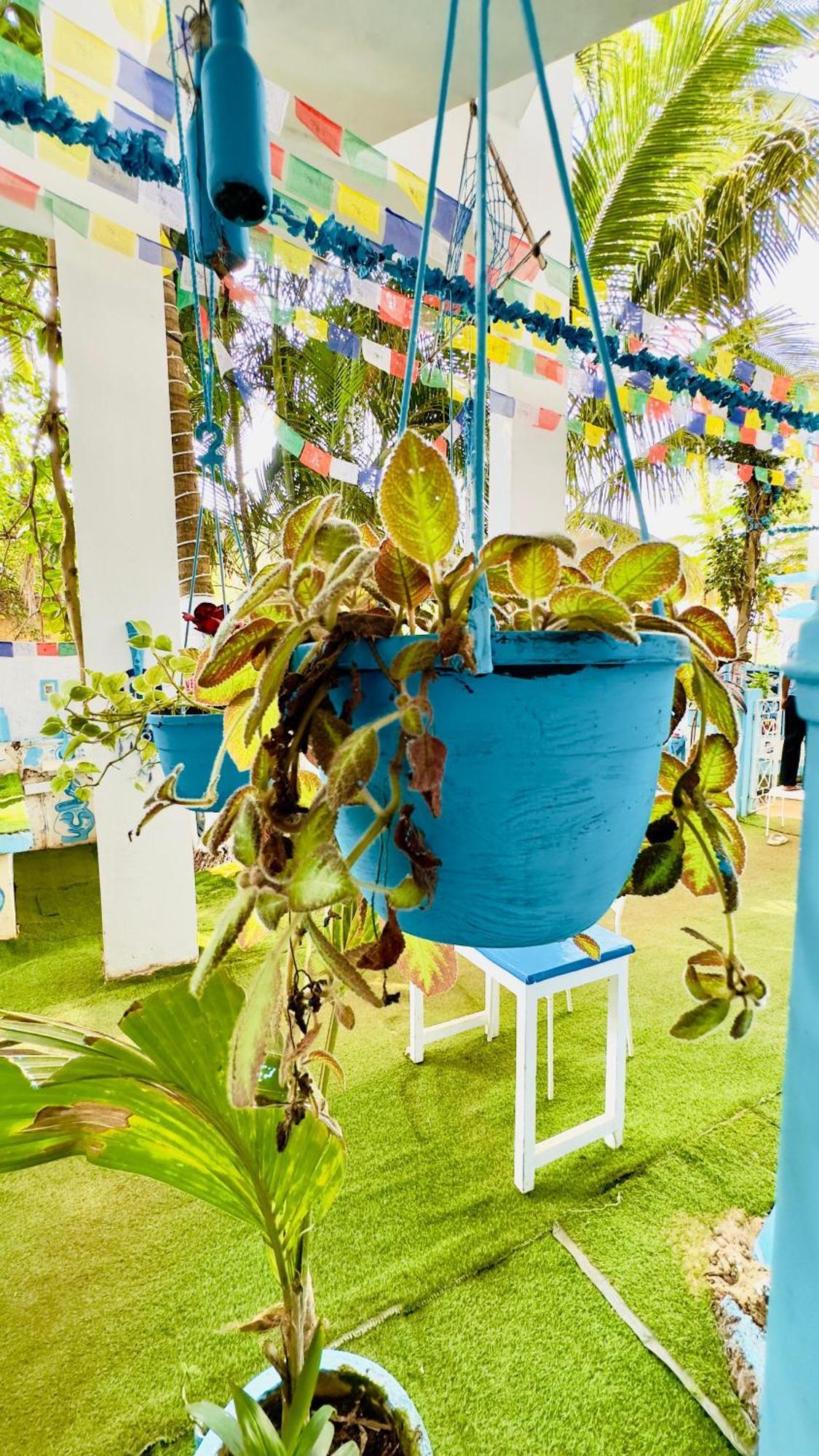 Omkar Wellness Inn Arambol Exterior foto