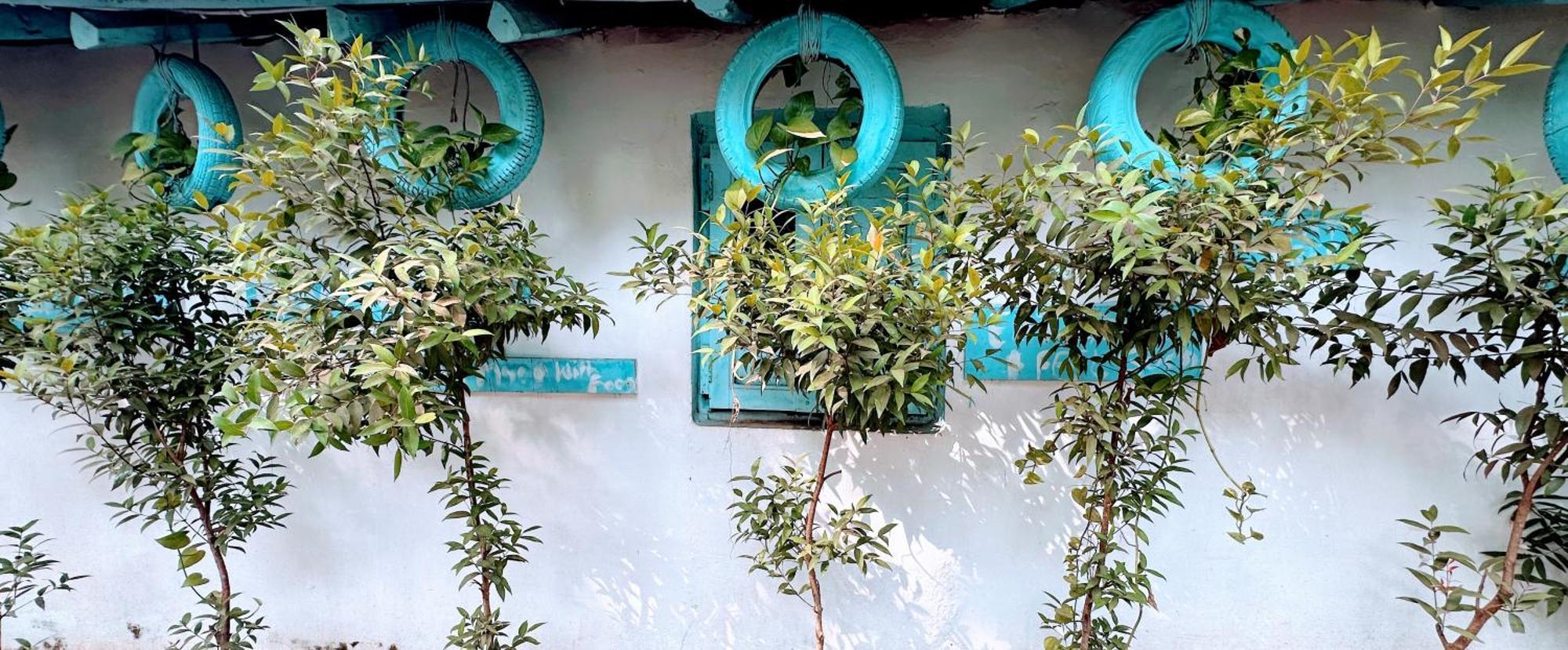 Omkar Wellness Inn Arambol Exterior foto
